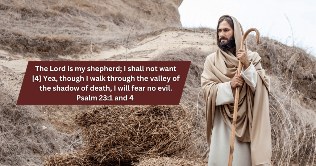 Day 3 | The Lord Guides Me with His Rod and Staff